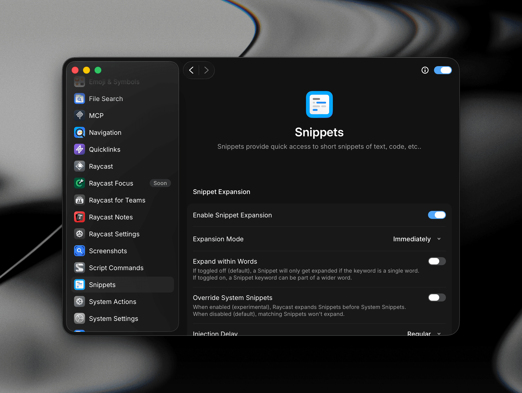 Snippet Expansion settings