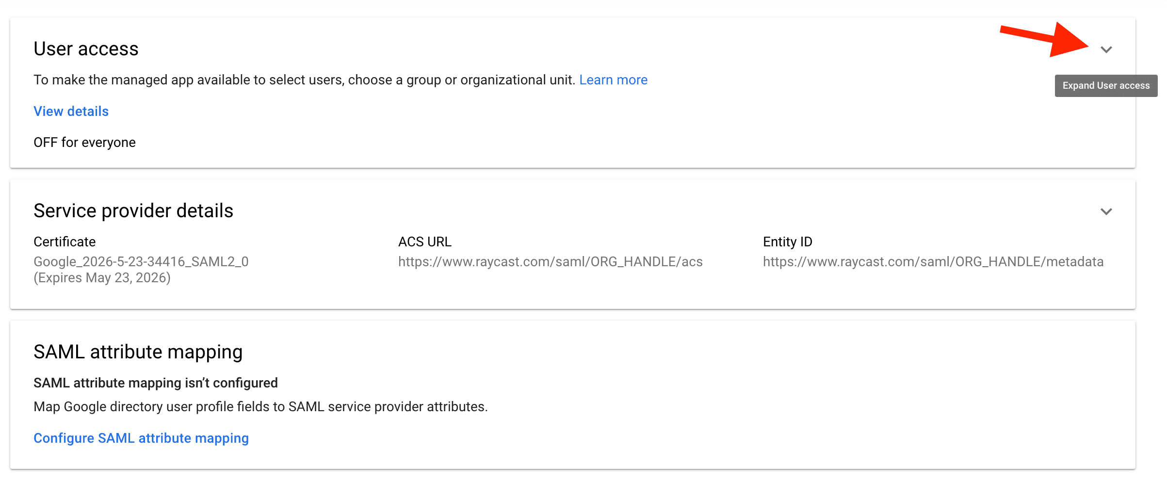 Google User access configuration