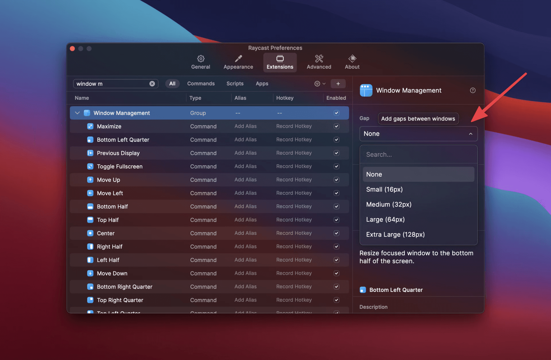 Screenshot of the Window Management command settings Raycast V1